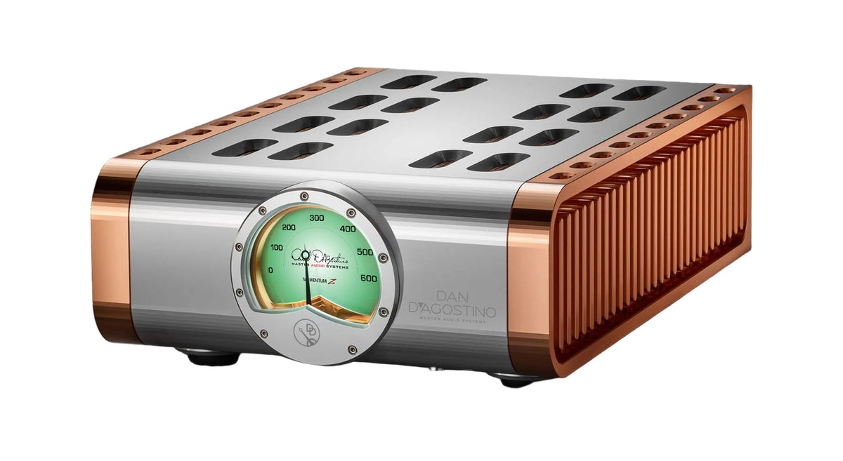 Dan D'Agostino Momentum Z Monoblock Amplifier